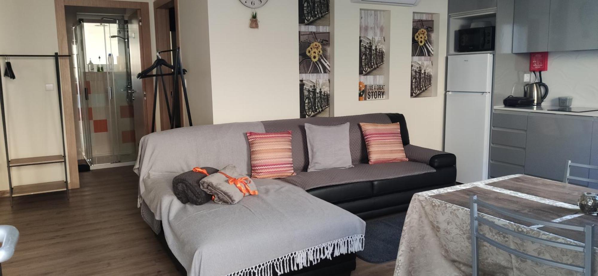 Al Santiago T1 Apartment Viana do Castelo Cameră foto